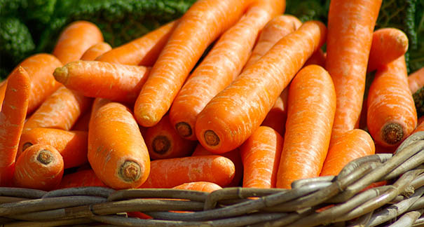 重慶農家樂_重慶家禽配送_重慶蔬菜配送_重慶小龍蝦垂釣